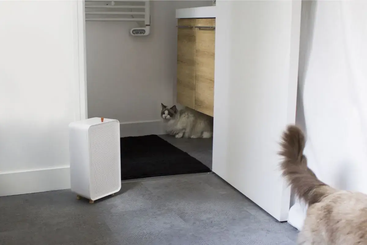 Dans quelles pièces de la maison installer un déshumidificateur d'air ?