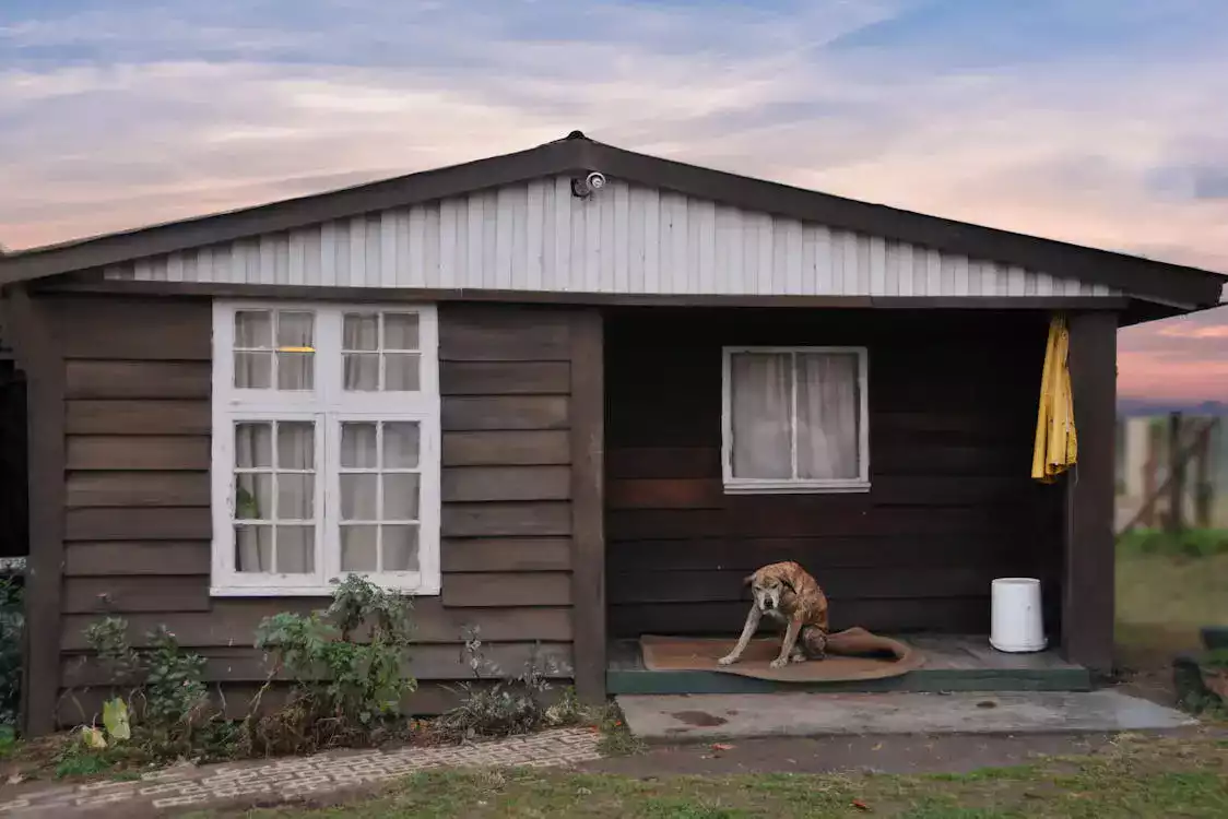 Abri de jardin en bois : Pourquoi opter pour ce modèle d’espace extérieur ?