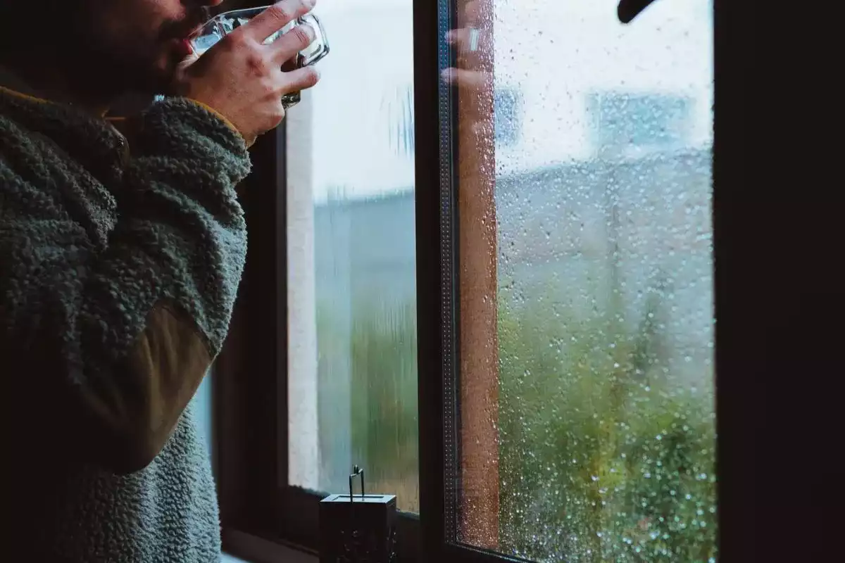 Est-ce que la pluie tue réellement les puces ?