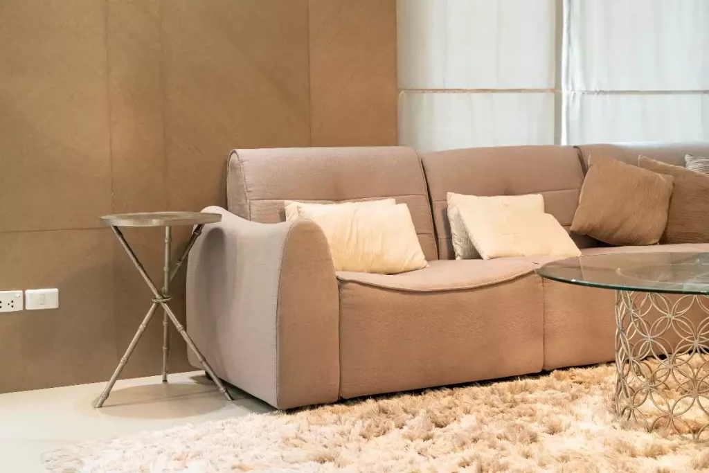 tapis avec canapé beige