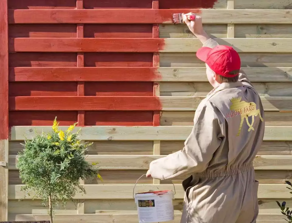 Avantages et inconvénients de la peinture à la farine