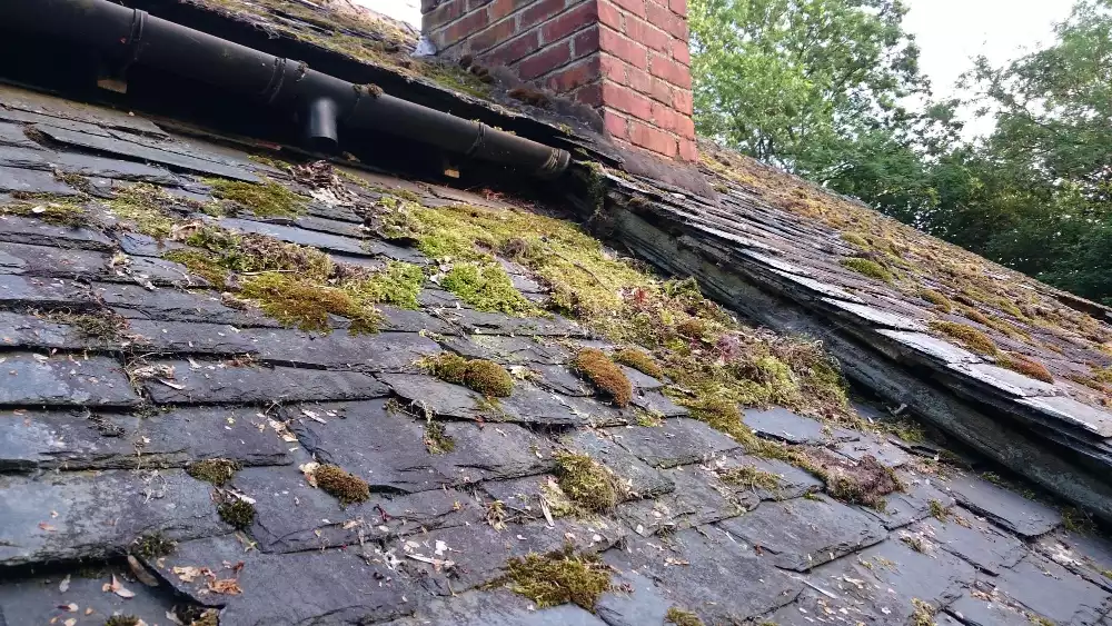 Les bonnes pratiques pour un contrôle efficace de sa toiture