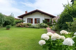 parterre devant maison sans entretien