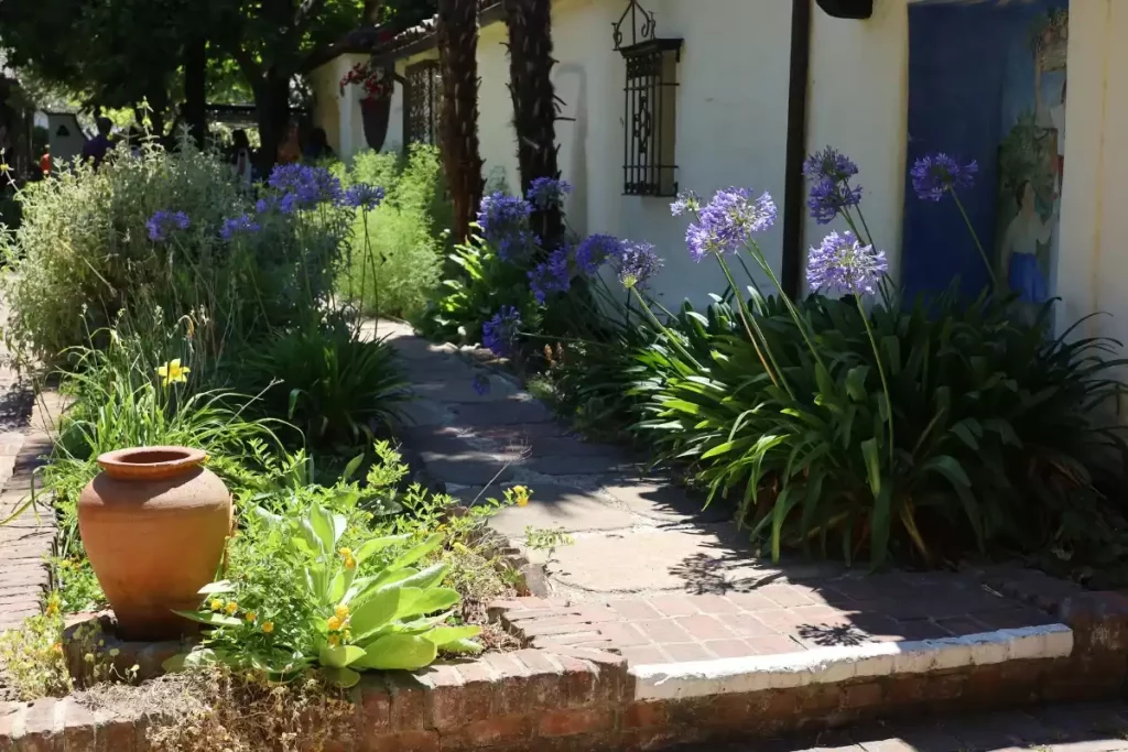 parterre devant une maison sans entretien
