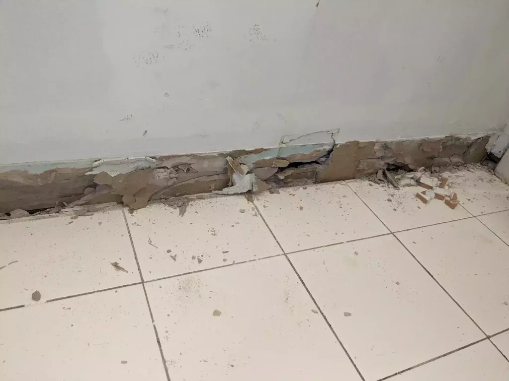 Soigner le mur après dépose : petites réparations bien faites