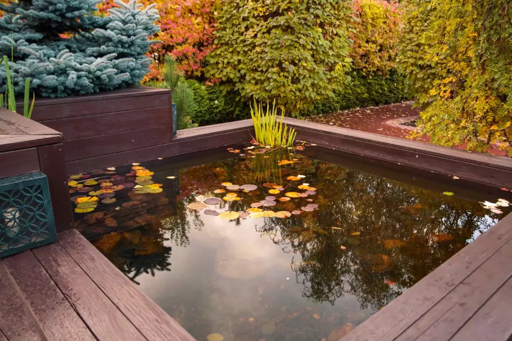Bassin de jardin : 5 clés pour un aménagement harmonieux