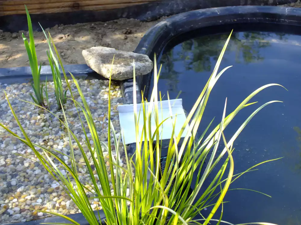 Clé no 2 : Créer un écosystème vivant et sain