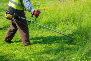 Location de matériel de jardinage à Caen : le bon plan local