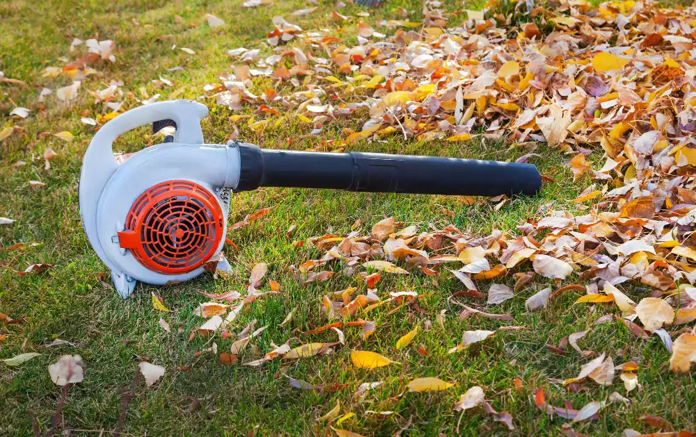 Ce que les Caennais préfèrent louer pour entretenir leurs espaces verts