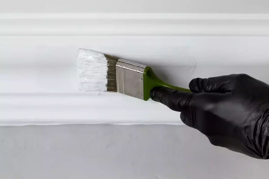 plinthes peintes couleur mur