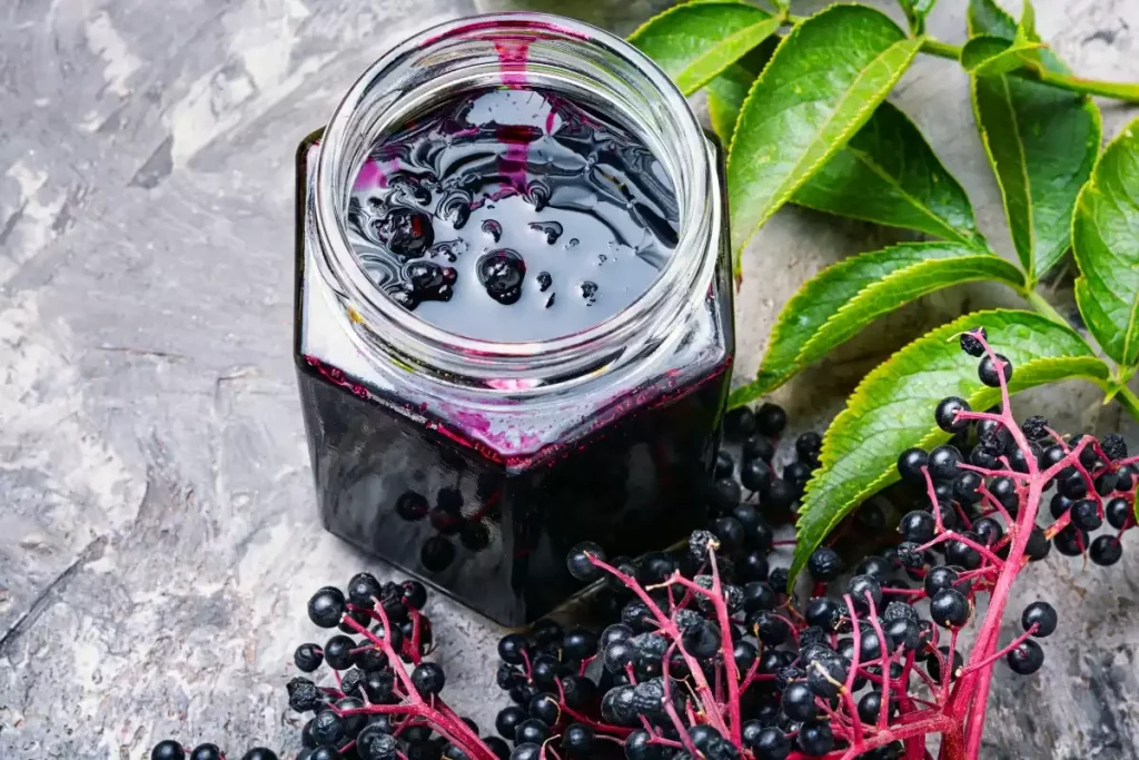 que faire avec les fruits du sureau noir ?