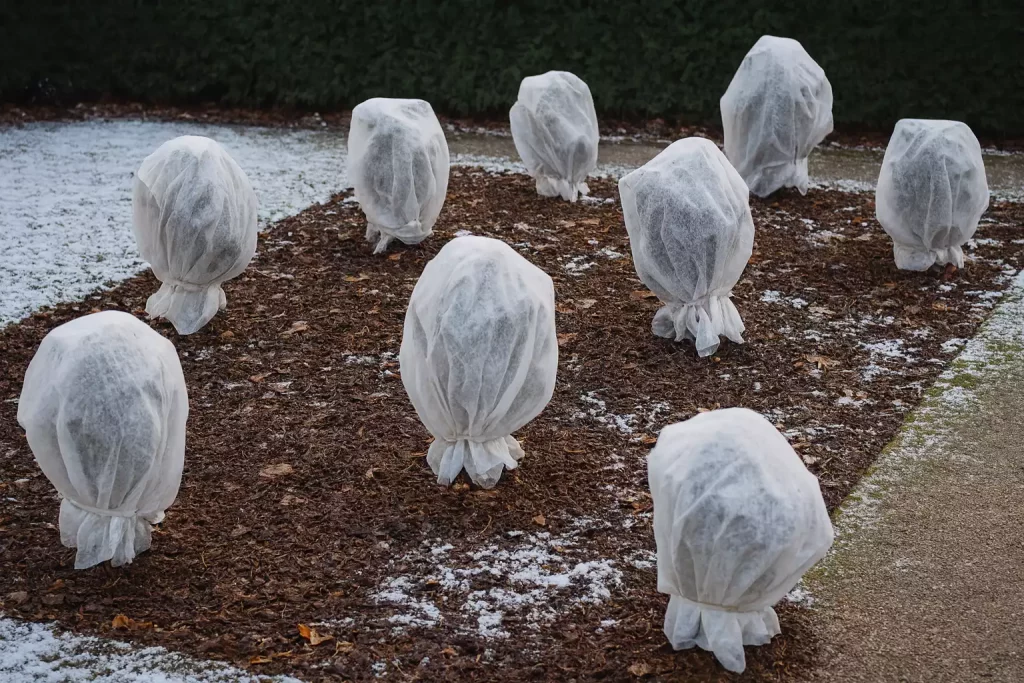 Isoler les racines avec un paillage épais