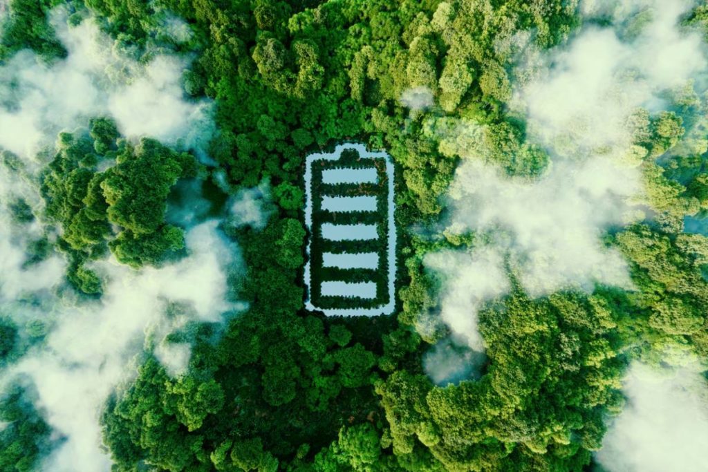 Électricité verte : allier économies et engagement écologique