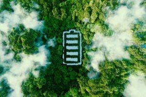 Électricité verte : allier économies et engagement écologique